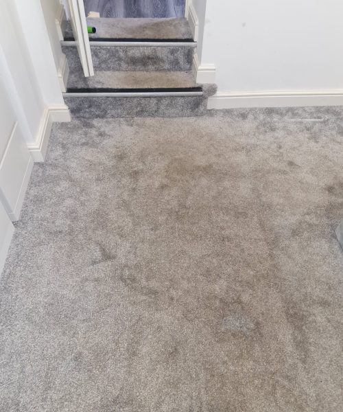 before carpet cleaning - Skyline Cleaning